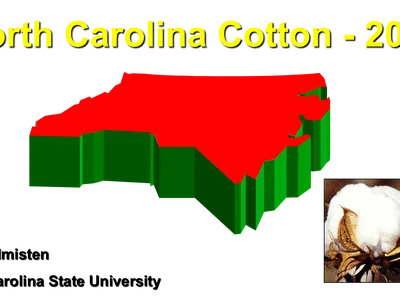 North Carolina map graphic with cotton boll and text "North Carolina Cotton - 2014"