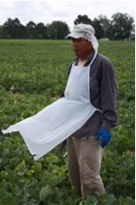 man wearing food safety equipment
