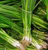 onions