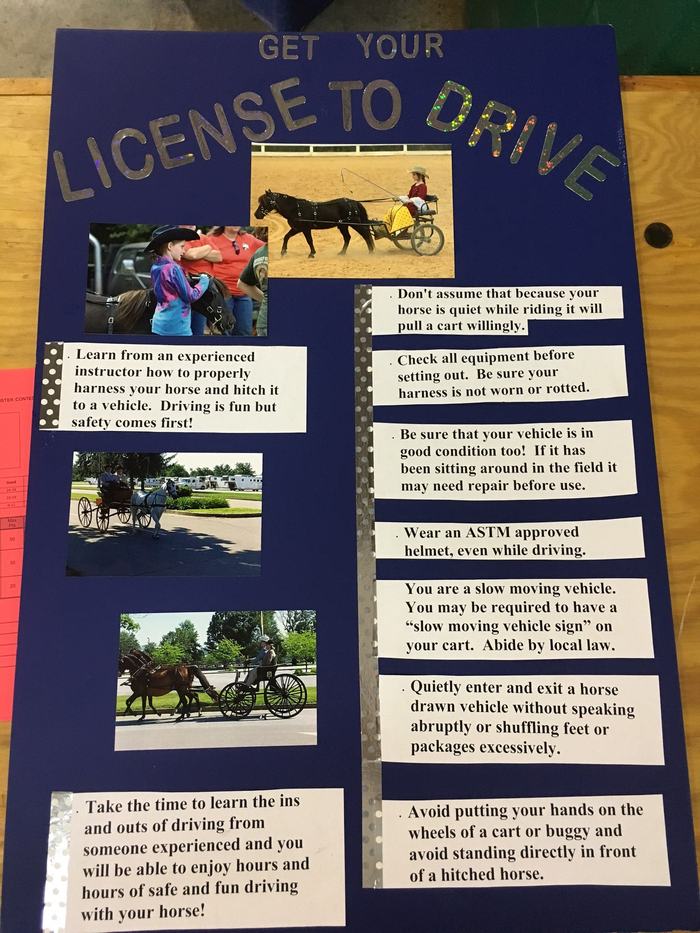 "Get Your License to Drive Poster" Horse Driving informational poster