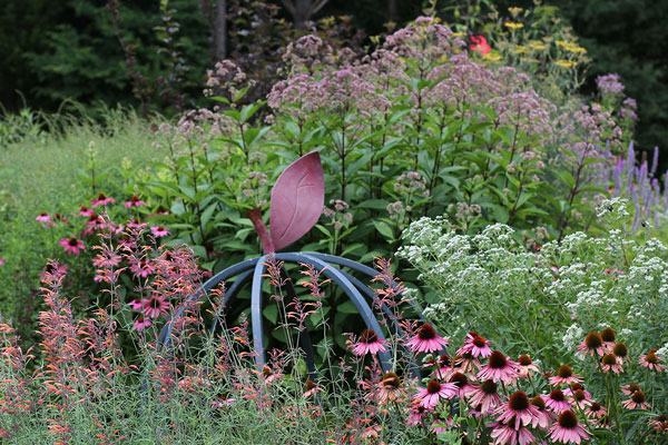 Cooperative Extension's Demonstration Pollinator Paradise Garden at Chatham Mills