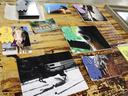 Horse photographs with colored award ribbons arranged on a wooden table