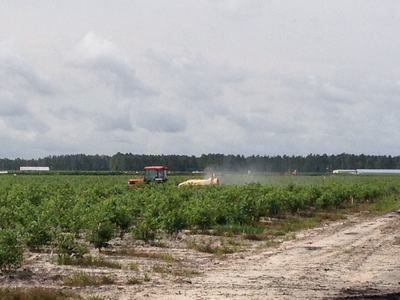 Red tractor spraying crops across a flat agricultural field