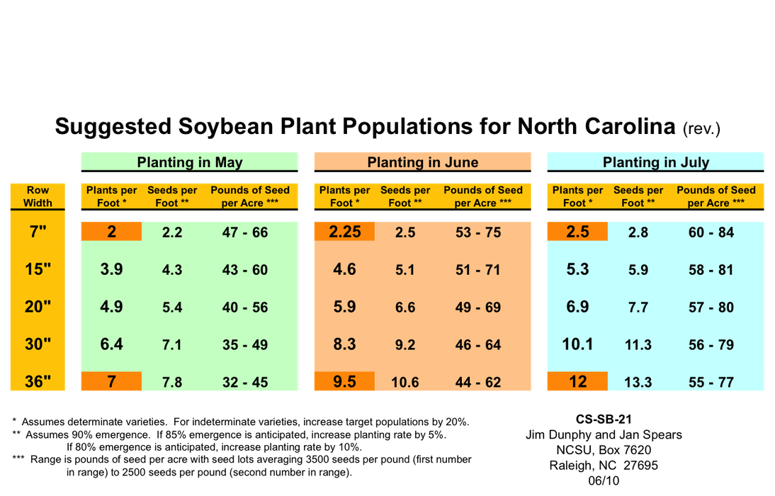 Image of soybean loopers