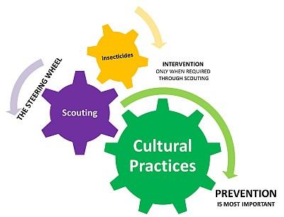 control-graphic-cr-400