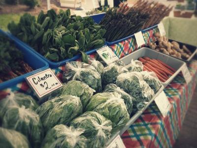 picture of greens, cilantro and carrots at a farmers market stand