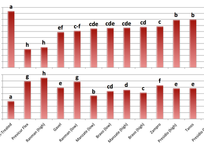 Fungicide efficacy trial for cucurbit downy mildew control using single products at high and low rates