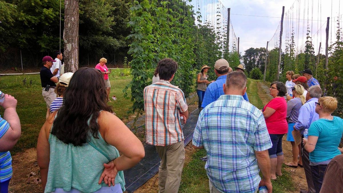 The Early Research Hop Yard in Mills River, NC - New Crops & Organics ...
