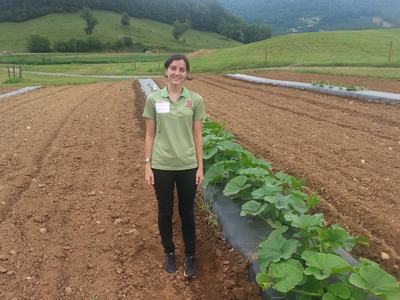 Woman standing in a field next to a row of young squash plants with hills in background