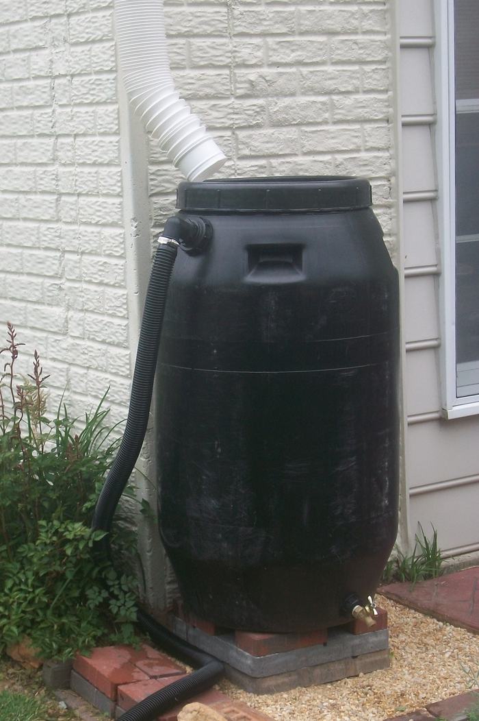 Rain barrel