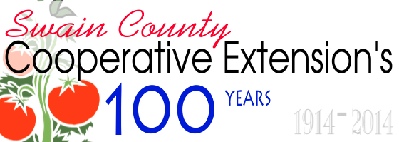 Extension's100YearsBanner