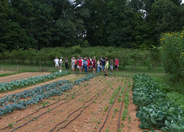  Looking at the fall crops at Peregrine Farm.
