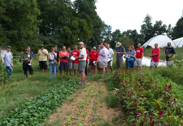  Talking about some of the new crops like Yukina savoy.