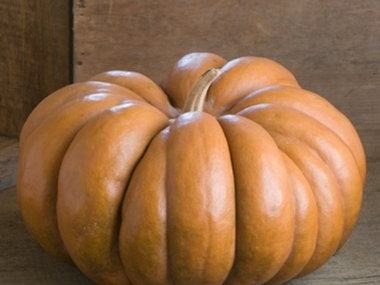 Large ribbed orange pumpkin resting on a wooden tabletop with a wooden backdrop