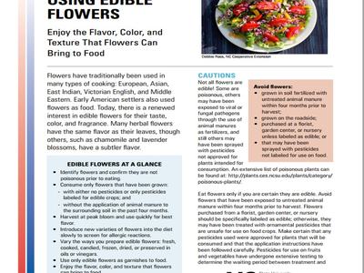 Flyer titled "Choosing and Using Edible Flowers" showing a salad photo and a "Cautions" panel