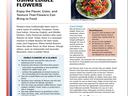 Flyer titled "Choosing and Using Edible Flowers" showing a salad photo and a "Cautions" panel