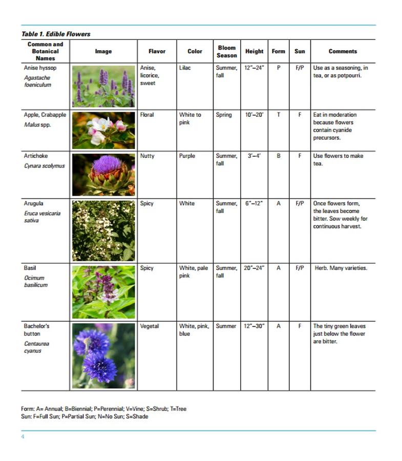 Choosing and using Edible Flowers