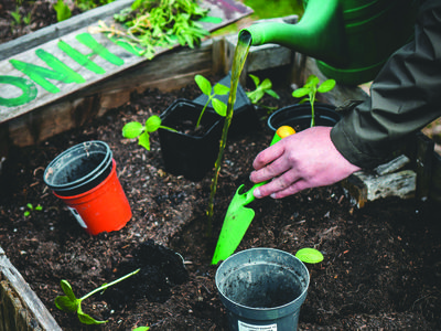 hands gardening in a raised bed photo by Jonathan Kemper on Unsplash