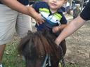 Toddler being held by adults while sitting on a small pony