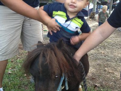 Toddler being held by adults while sitting on a small pony