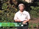 Woman standing in a garden wearing a white polo; on-screen text reads "Extension Agent"