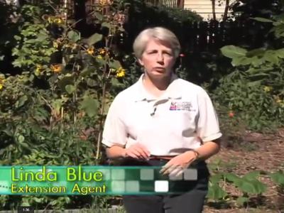Woman standing in a garden wearing a white polo; on-screen text reads "Extension Agent"