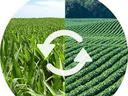 Crop Rotation: circle showing corn field and row crop with rotating arrows