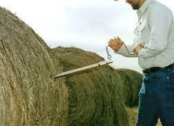 hay testing