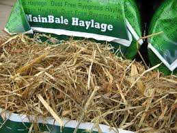 haylage