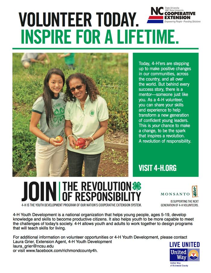 Volunteer Recruitment Flyer copy