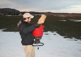 frost seeding