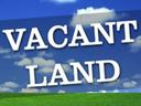 Blue sky with clouds over green grass and large white text "VACANT LAND"