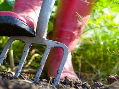 Red rubber boots and garden fork digging into soil