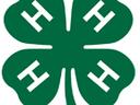 4-H emblem