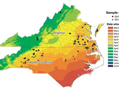 Time of peak egg lay based on 2010 and 2011 data. Note that cereal leaf beetle emergence was delayed in 2014 following the cold winter. This means that insecticide applied during March in 2014 was not effective to control the beetle. Figure from Philips e