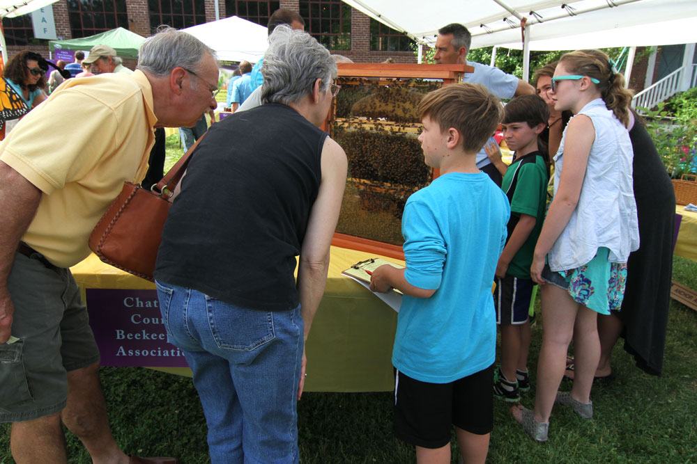 The observation hive is always popular!