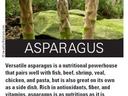 Three asparagus spears before a mossy rock; bold text "ASPARAGUS" with a descriptive paragraph.