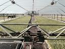 Greenhouse interior with rows of seedlings, central walkway and irrigation pipes