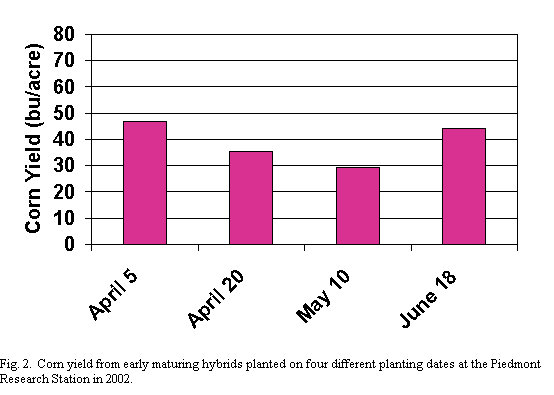 Corn yields from early maturing hybrids planted on four different planting dates