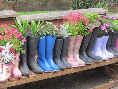 Image of boots with plants
