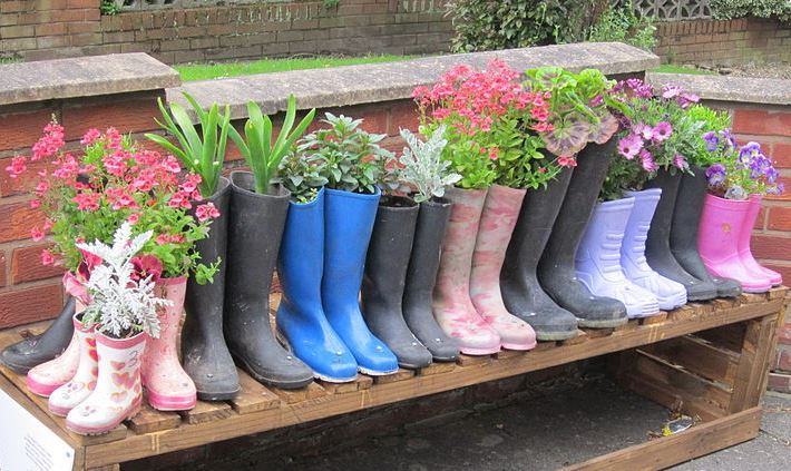 Image of boots with plants
