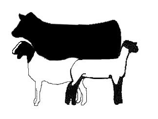 Black cow silhouette overlapping a white sheep outline
