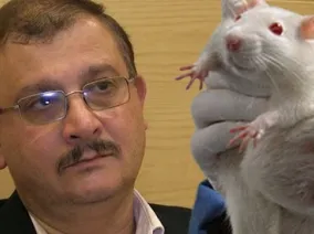 Man wearing glasses looks at white lab rat held by a gloved hand