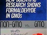 "ALARMING! NEW SCIENTIFIC RESEARCH SHOWS FORMALDEHYDE IN GMOs" with two tomatoes labeled non-GMO vs GMO