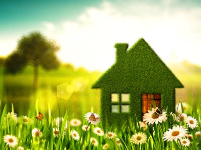 House-shaped topiary in grassy meadow with daisies and butterflies