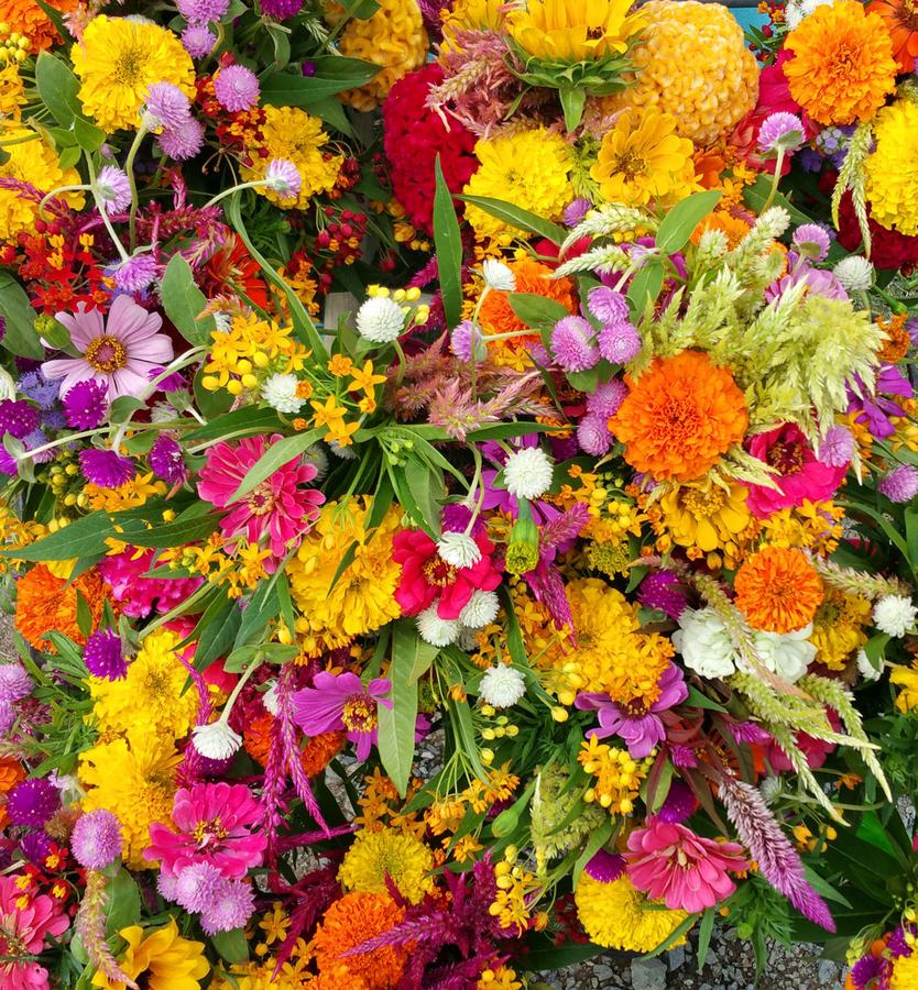 Some of the flower bouquets that Cathy took to the Fearrington Farmers' Market the day after the workshop.