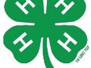 Green four-leaf clover with a white "H" on each leaf; text "Cooperative Extension's Youth Development Program"