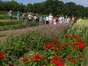 Group of people touring a flower farm with rows of red and purple blooms