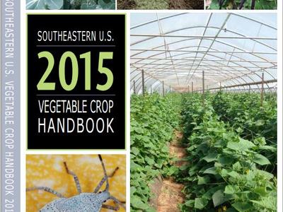 Cover: "Southeastern U.S. 2015 Vegetable Crop Handbook" with vegetable photos and greenhouse