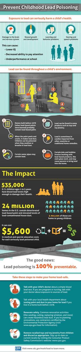 lead-infographic-final-full